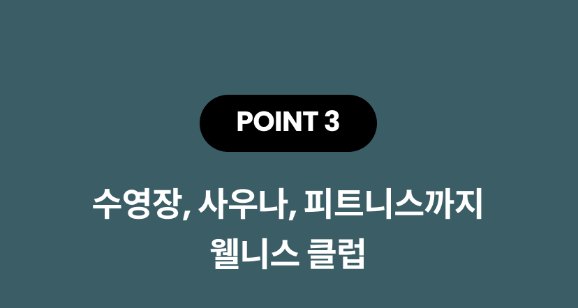 윈덤 4.png